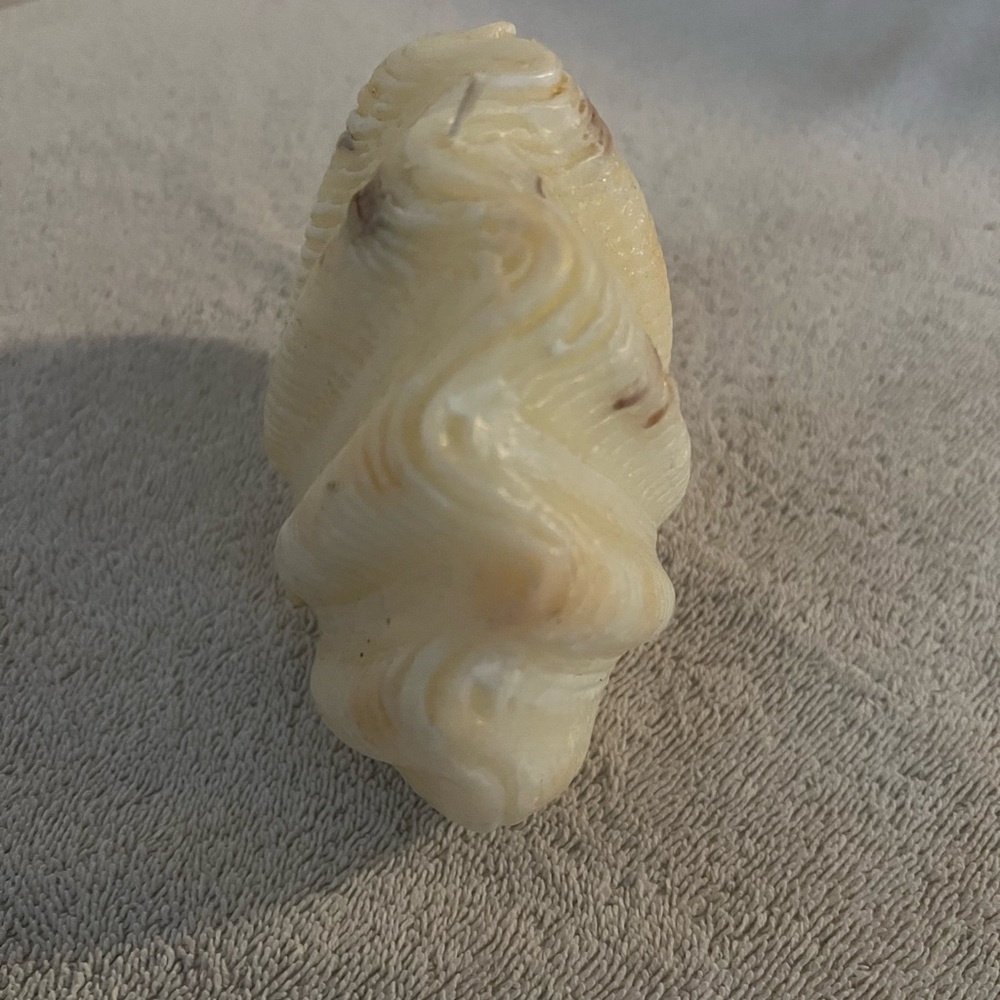 Handcrafted Decorative Unscented Cream Nautical Clam Shell Candle Decor - Picture 3 of 6